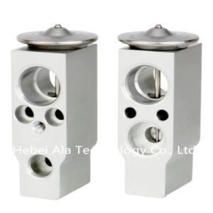 Auto A/C Expension Valve Japanese 447500-3070 Supplier China