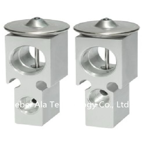 Auto A/C Expansion Valve Japanese 447500-4650 Supplier China